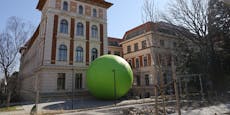 Riesenerbse rollt bei Wissenschafts-Ball ins Rathaus