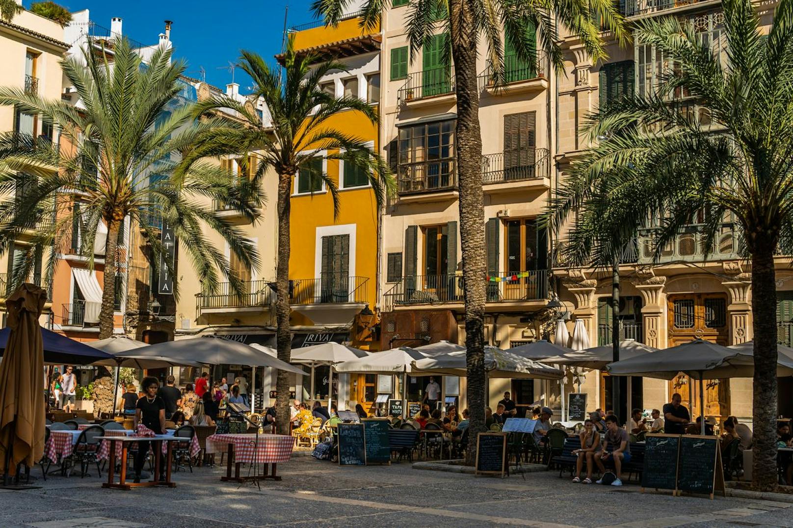 Plaza de la Lonja in Palma de Mallorca, Spanien.