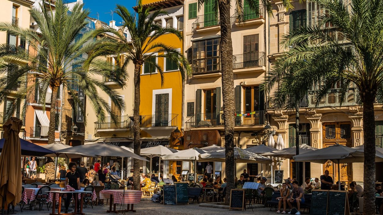 Wer abends in Palma durch die Gassen schlendert, wird vermutlich auf Kakerlaken treffen. Die Insekten sind nachtaktiv.