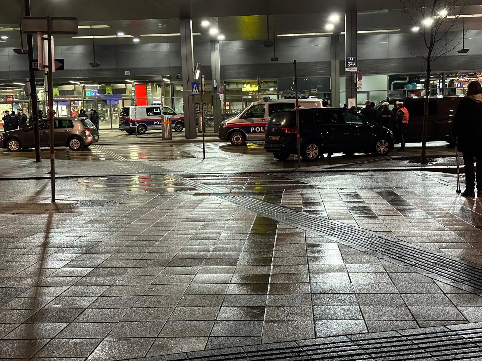 Die Polizei am Wiener Hauptbahnhof (Symbolbild)