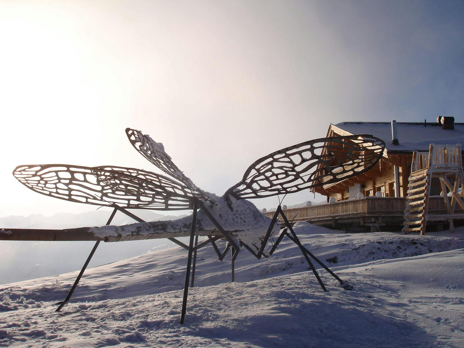 Riesige Insekten-Skulpturen von Andreas Furtwängler und Oliver Schuch prägen die umliegende Bergwelt der Kristallhütte.&nbsp;