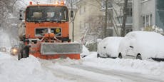 Schonungslos ehrliche Schnee-Prognose für Wien überrascht