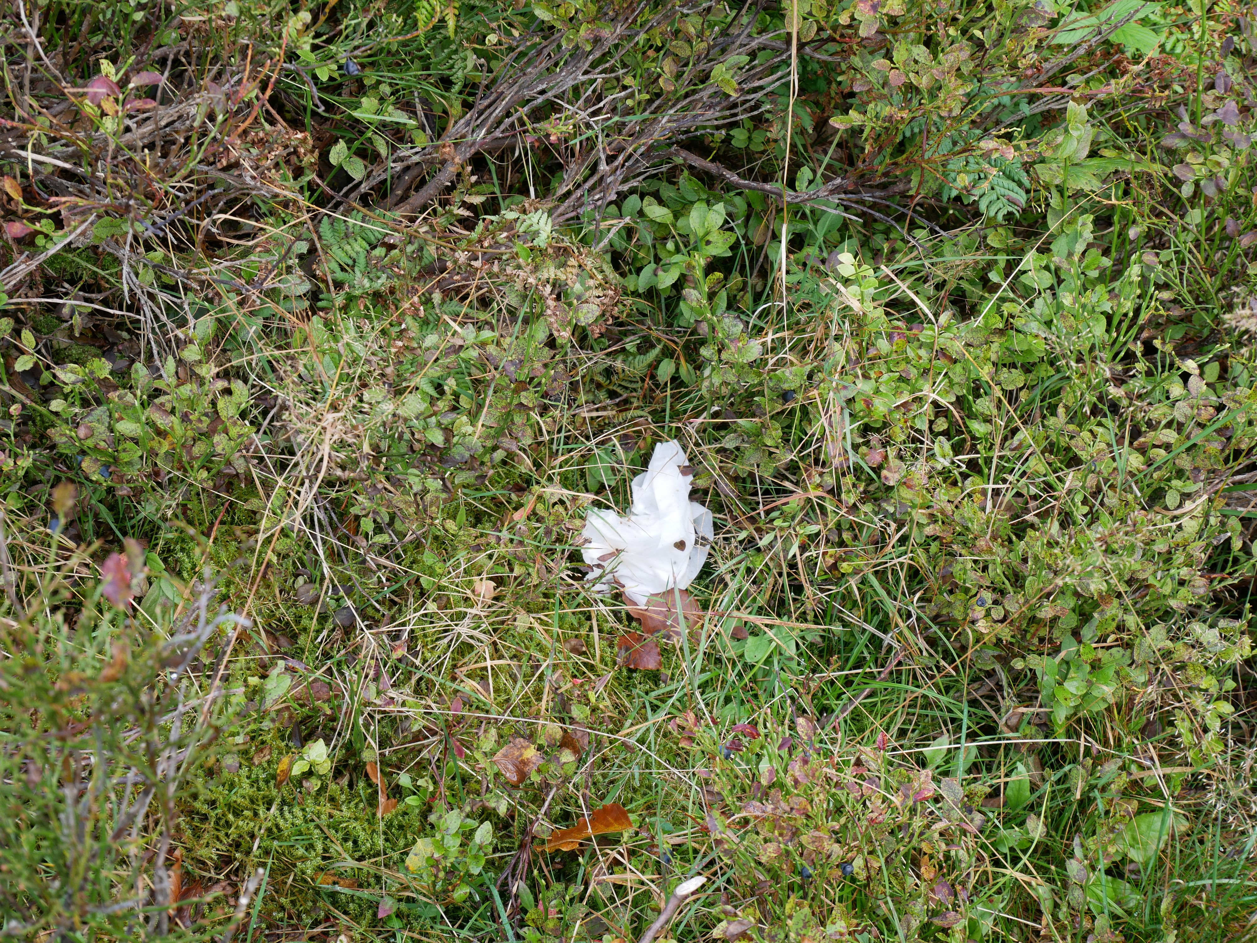 Die Frau zündete ihre Taschentücher kurzerhand an. (Symbobild)