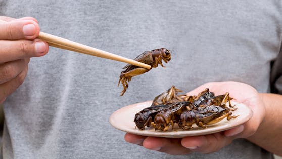Auf anderen Kontinenten schon lange Praxis – bei uns bald auch zugelassen: das Essen von Insekten.