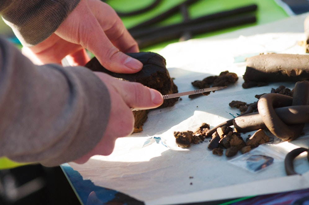 Die Drogen wurden von einem Diensthund der Polizei am Airport Schwechat erschnüffelt.