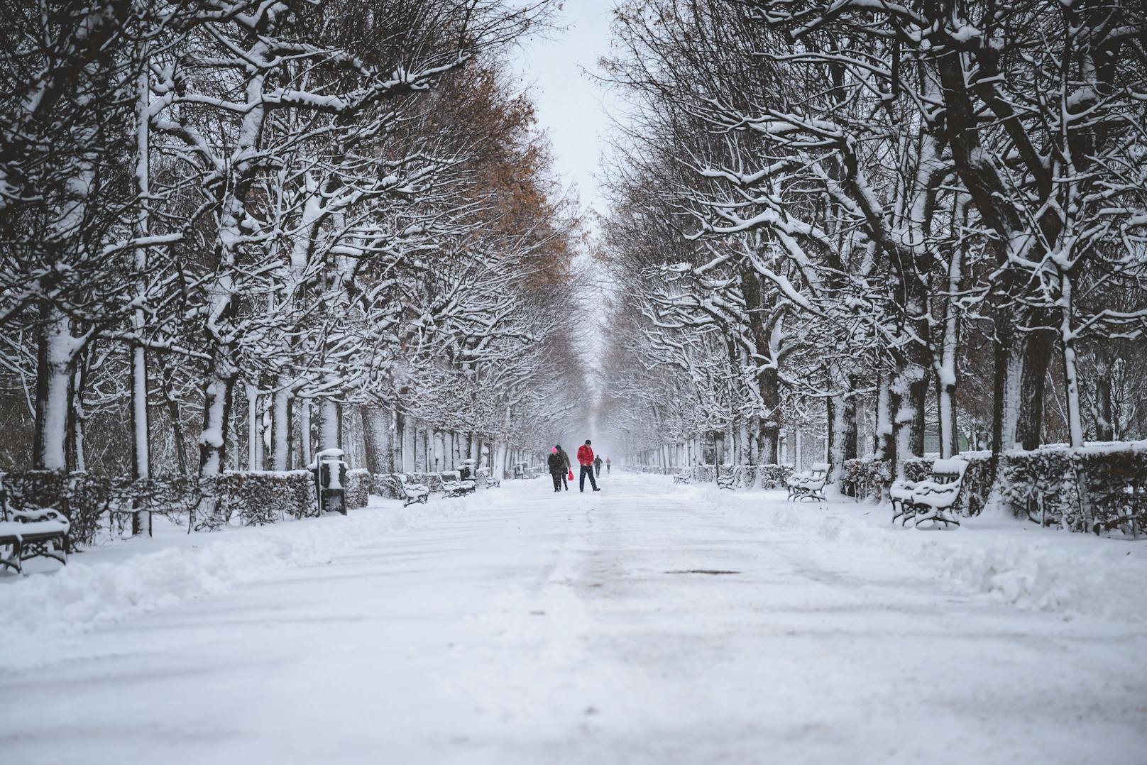 Wintereinbruch in Wien am 21. Jänner: der erste Schneefall des Jahres 2023 ließ die Hauptstadt angezuckert zurück.