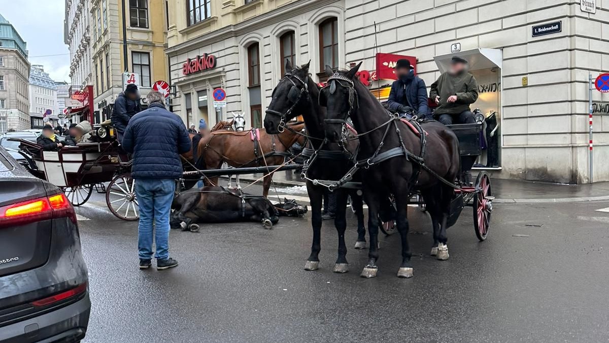 Das Pferd lag nach dem Sturz auf der Fahrbahn. 