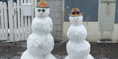 So feiert die "Heute"-Community Österreichs Schnee-Walze