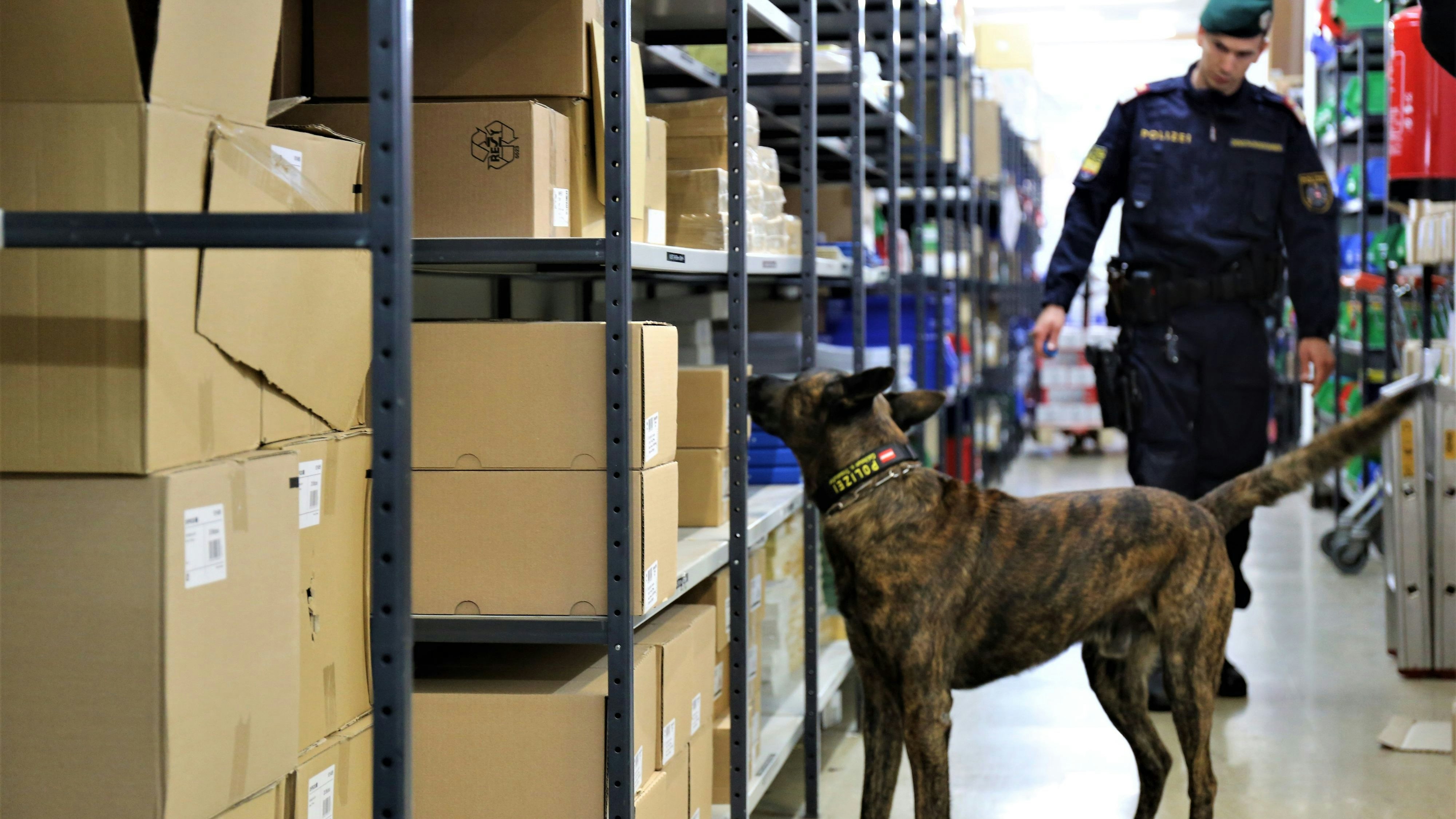 Polizeihund "Calhoun" auf Erfolgskurs