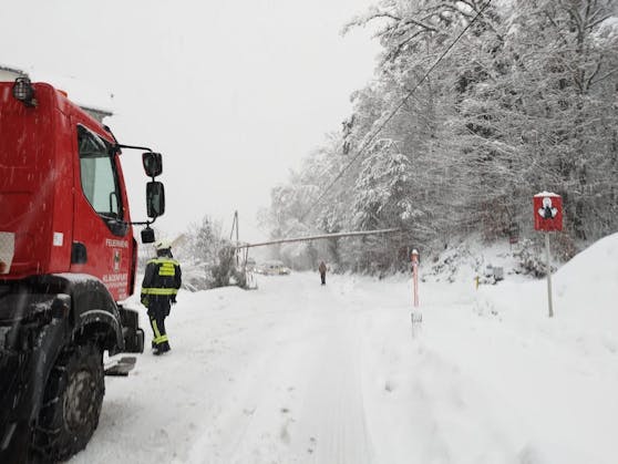 Die Schneemassen ließen Bäume auf Stromleitungen umstürzen, die Energieversorgung von tausenden Haushalten brach zusammen.