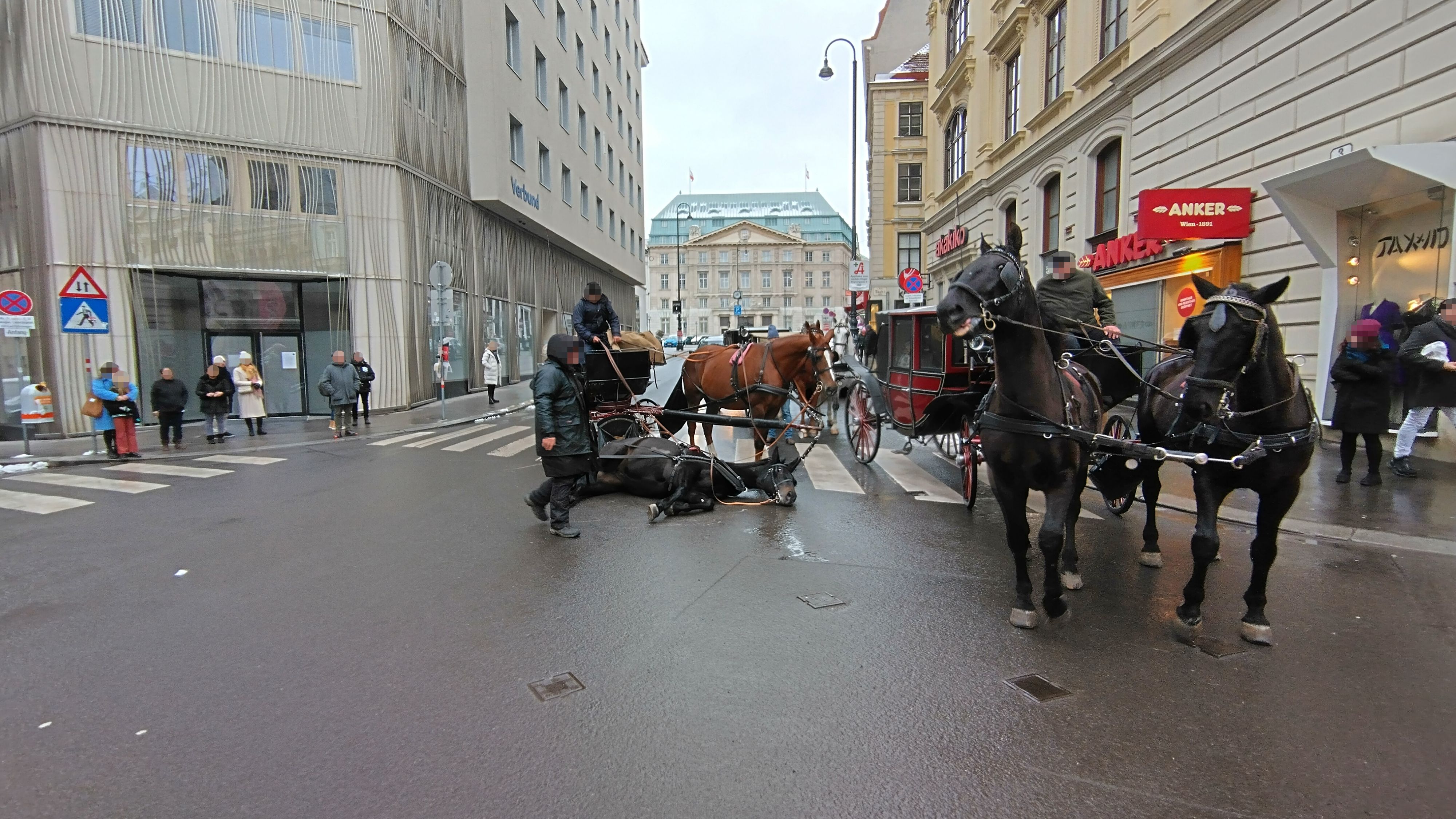 Ein Fiakerpferd dürfte am Samstag in der Innenstadt ausgerutscht sein.