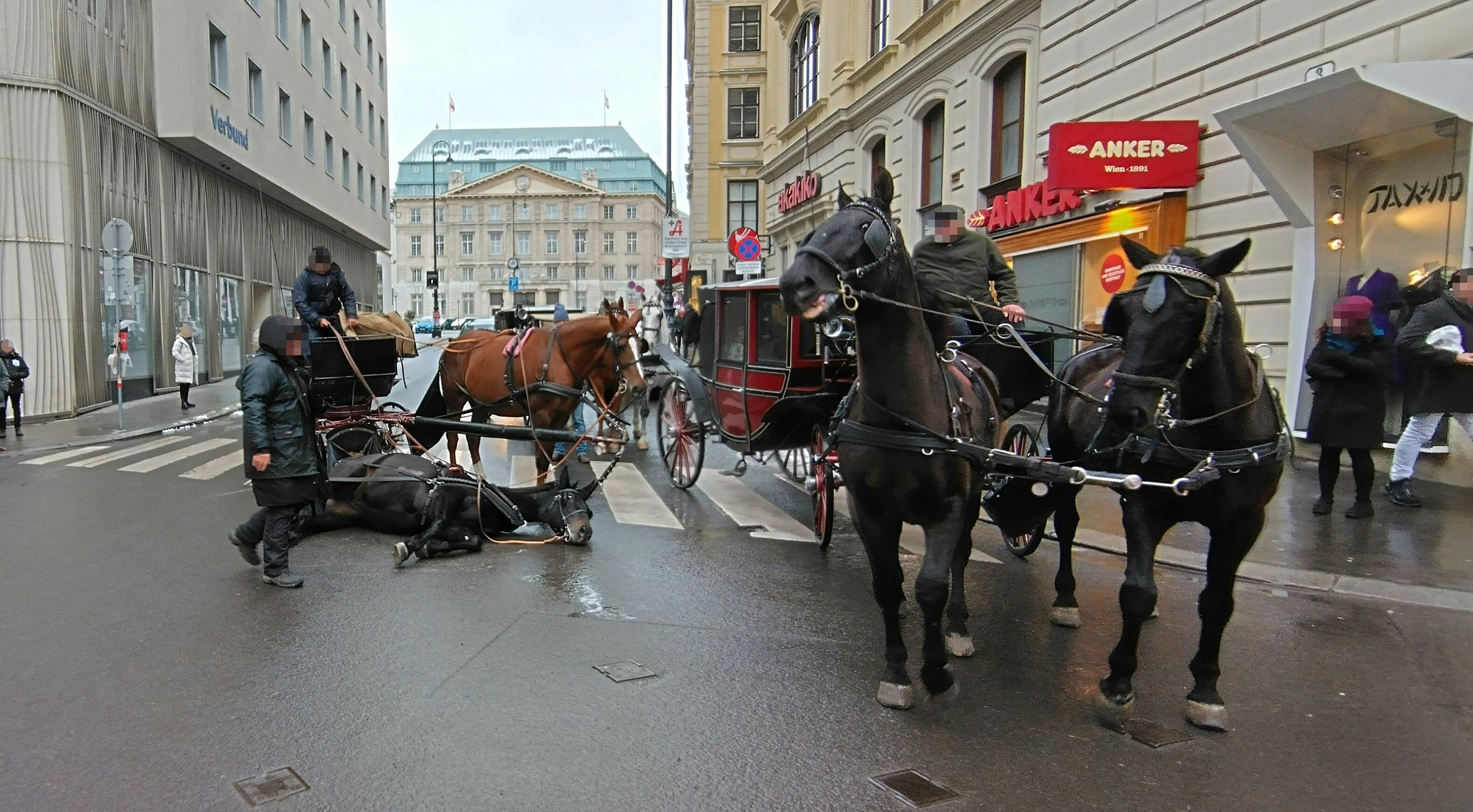 Ein Fiakerpferd dürfte am Samstag in der Innenstadt ausgerutscht sein.