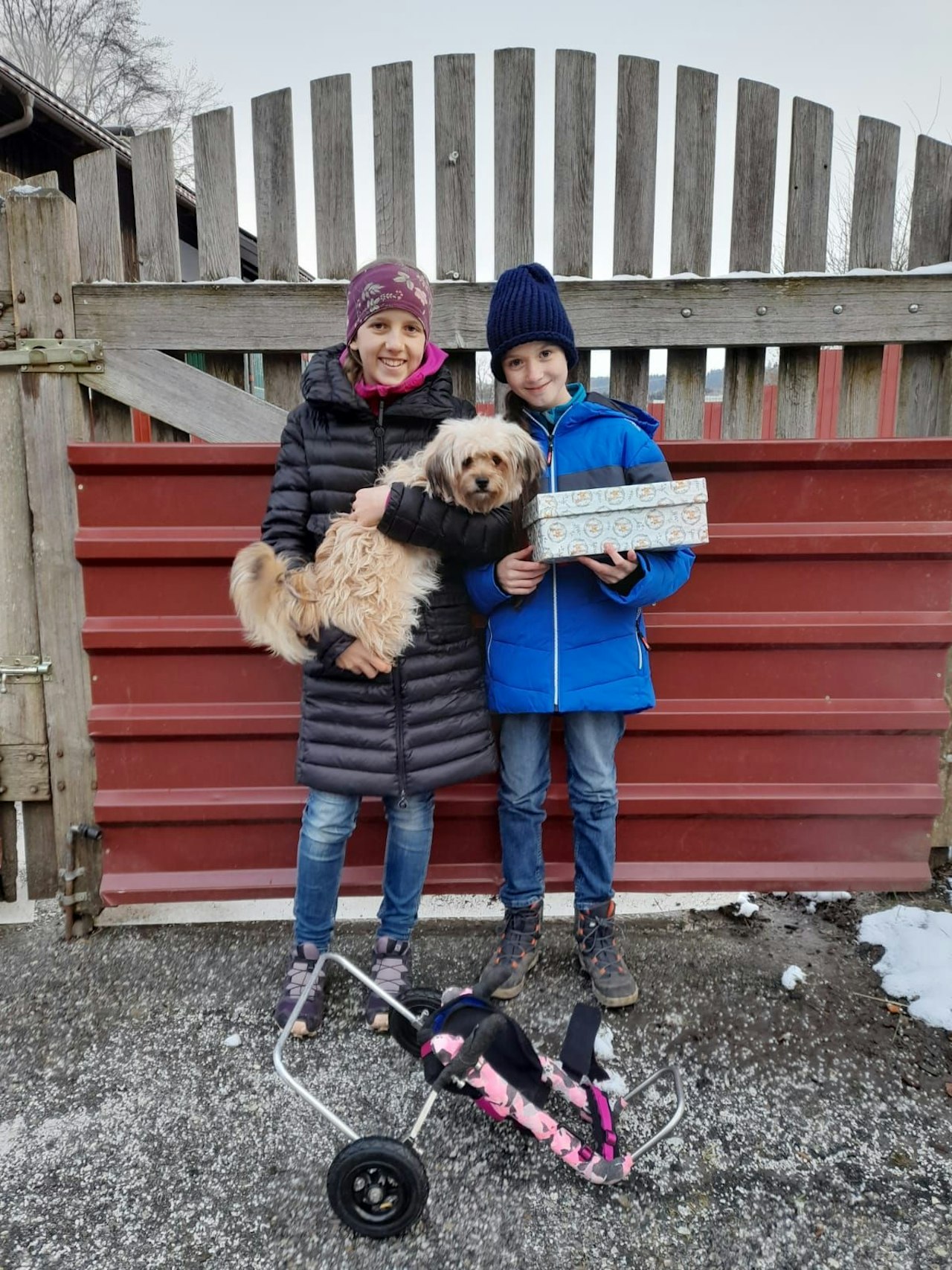 Heute.at - Flöckchen im Glück – Mädchen sammeln für kranken Hund