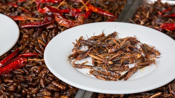 Künftig könnten in bestimmten Lebensmitteln gemahlene Insekten vorhanden sein.