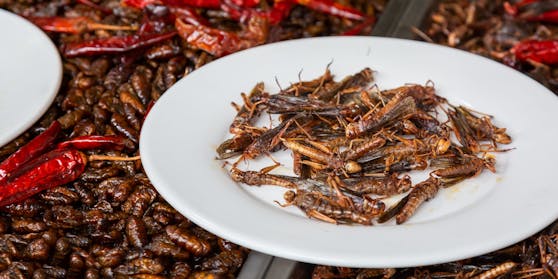 Künftig könnten weitere gemahlene Insekten in Lebensmitteln im Supermarkt zu finden sein. (Symbolbild)
