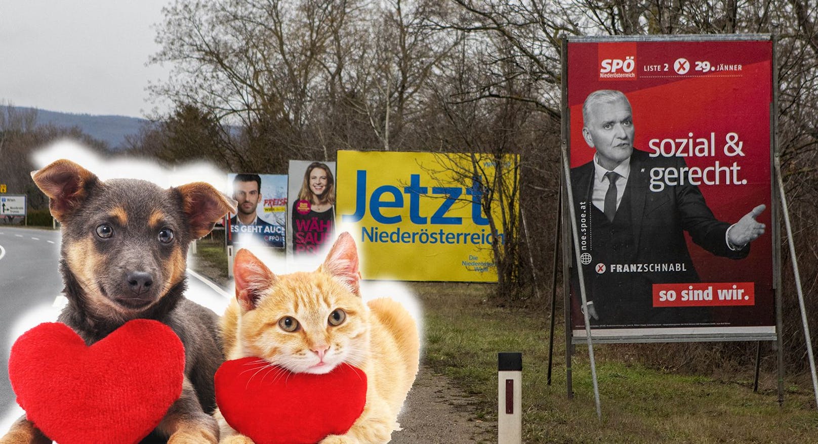 Die Niederösterreichische Landtagswahl findet am 29. Jänner 2023 statt.