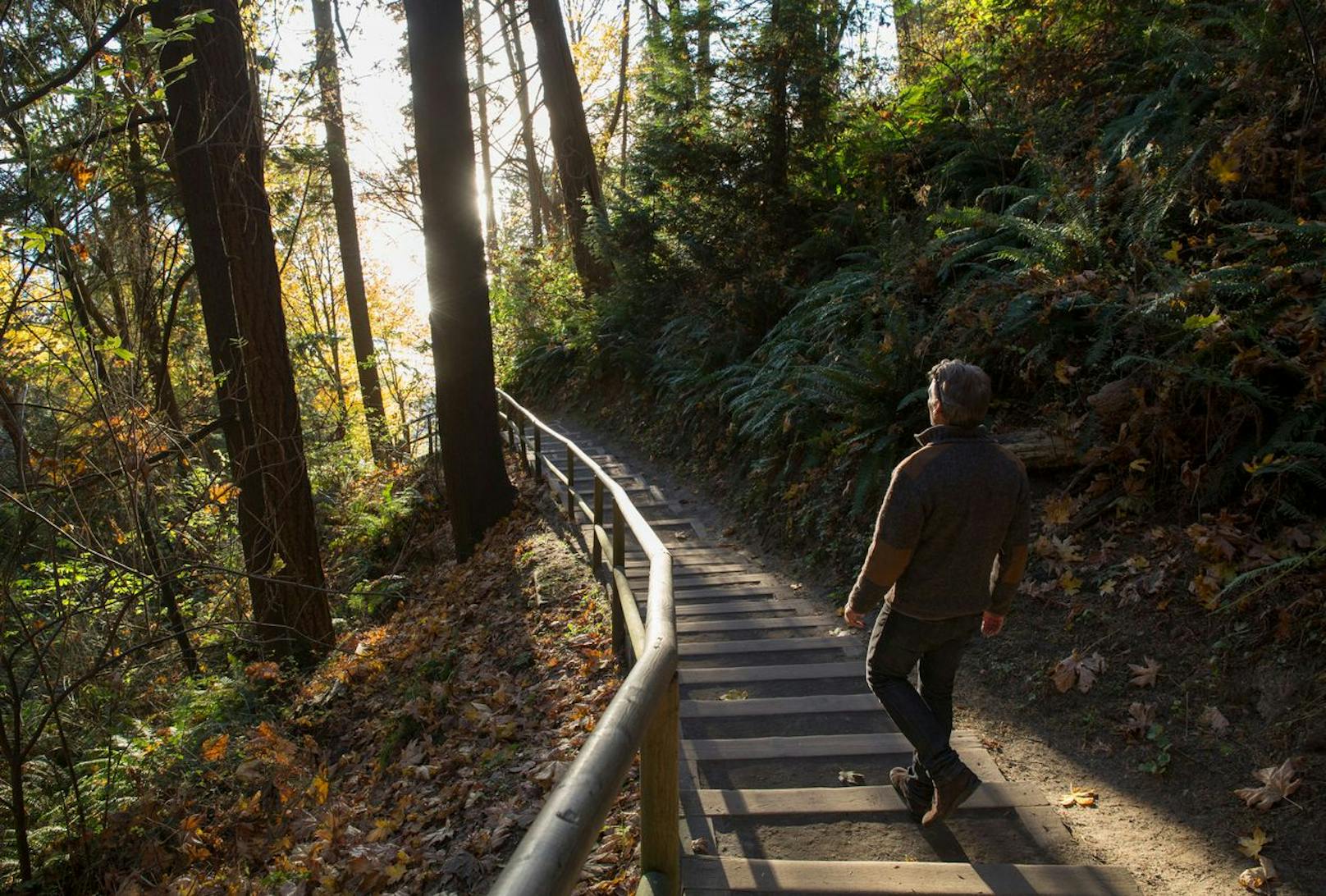 Sehen, riechen, spüren: Regelmäßige Spaziergänge im Wald&nbsp;sollen unser Hormon- und Nervensystem stärken und fitter machen als jedes Workout.&nbsp;