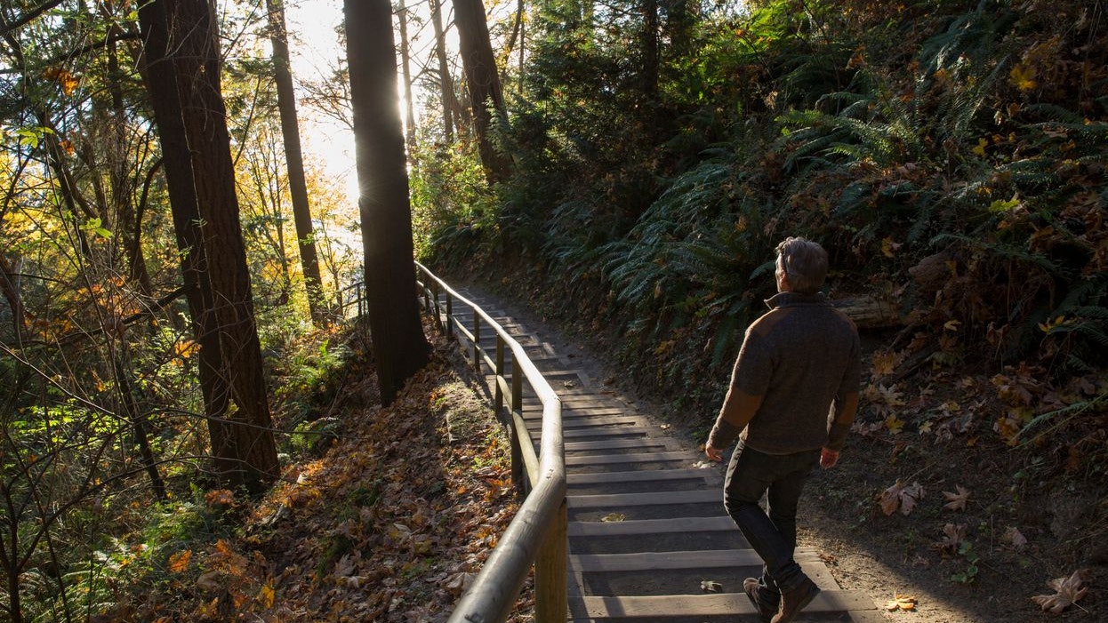 The sun is illuminating the steps and the man in the forest