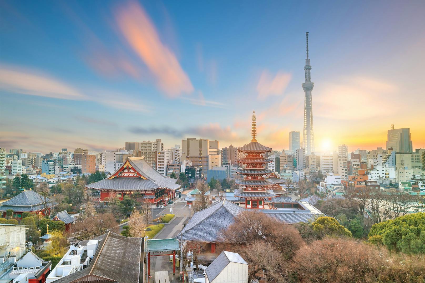 Japanische Familien bekommen viel Geld von der Regierung, wenn sie von Tokio aufs Land ziehen.
