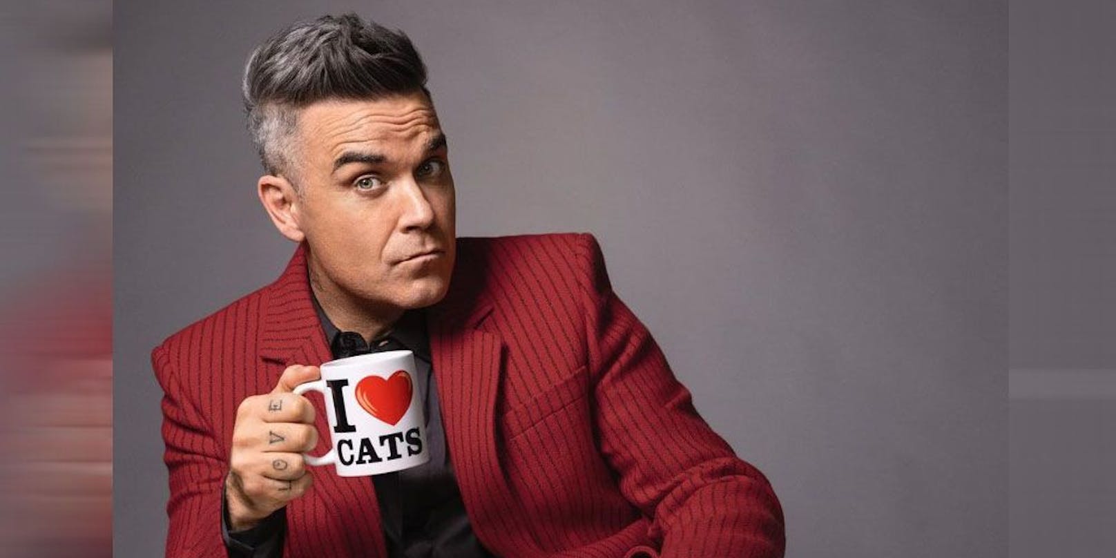 Robbie Williams wird zur Katze Felix.