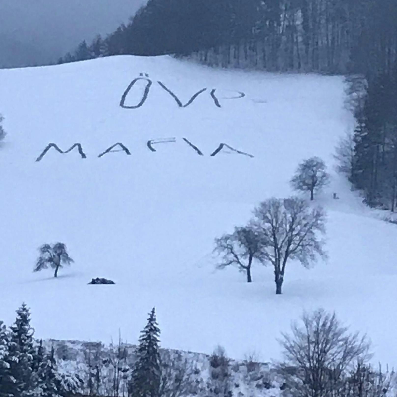 Anfang der Woche stampften Unbekannte im Bezirk Lilienfeld (NÖ) zwei kuriose Wörter in den Schnee.
