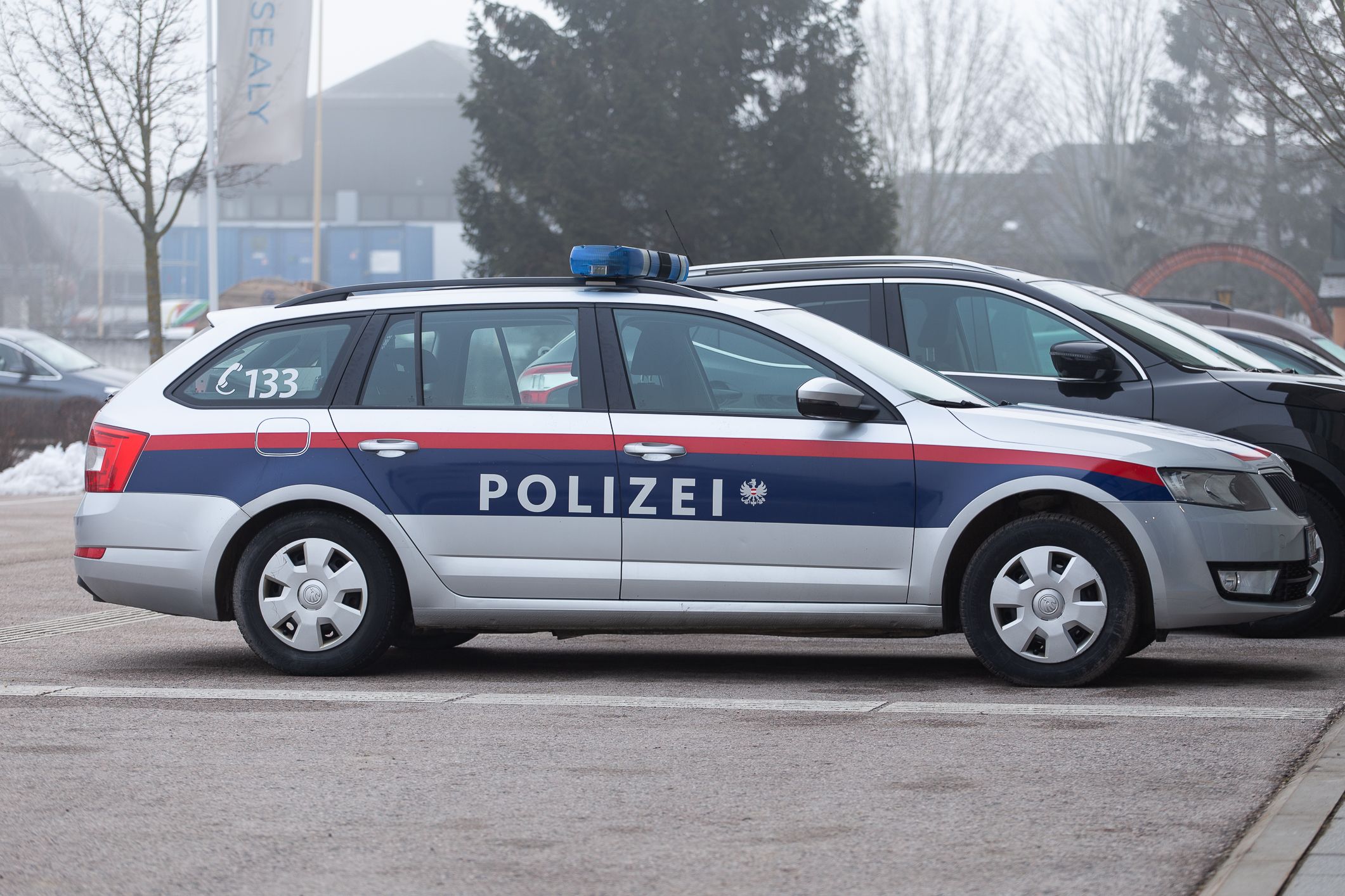 Polizisten konnten den Verdächtigen am 27. Jänner in St. Pölten festnehmen (Symbolbild).
