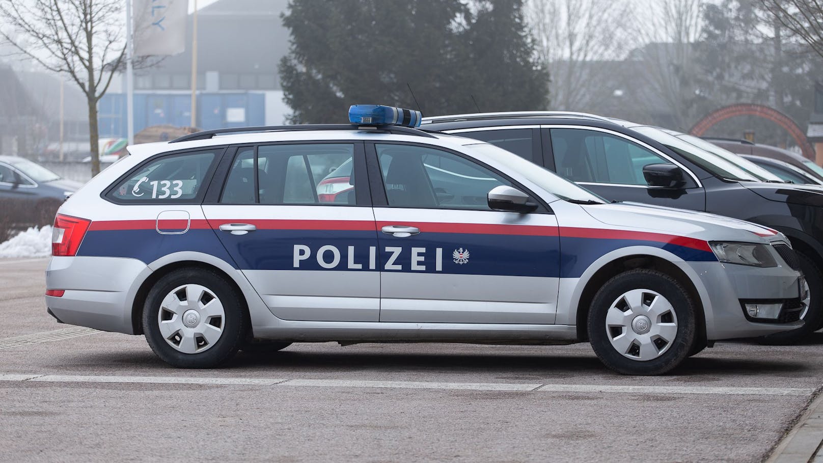 Polizisten konnten den Verdächtigen am 27. Jänner in St. Pölten festnehmen (Symbolbild).