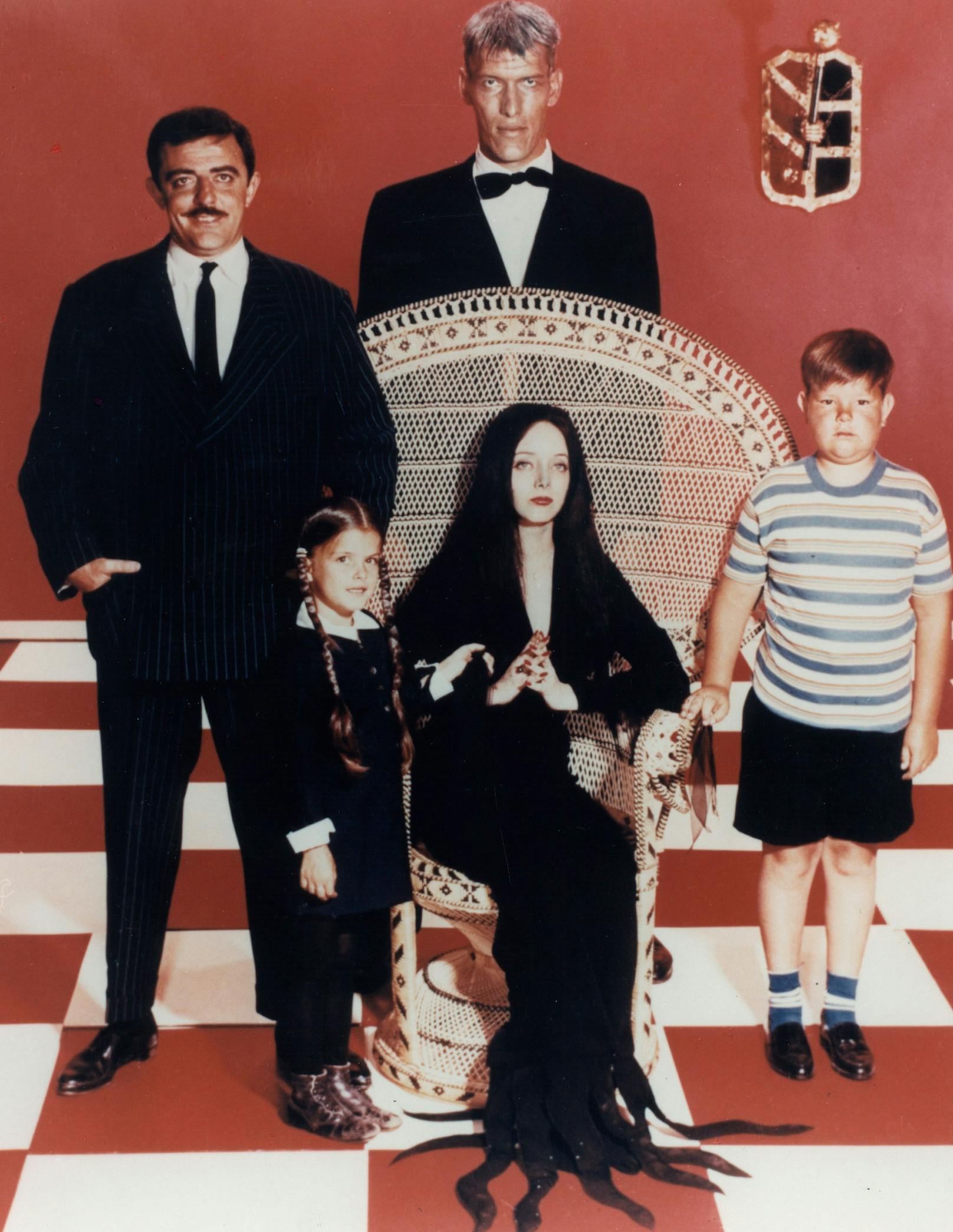 Von 1964 bis 1966 spielte sie in der ersten Adaption von Charles Addams New Yorker Cartoon "The Addams Family" die Rolle der Wednesday Addams.  Ihre Version der Rolle prägt die Popkultur bis heute.