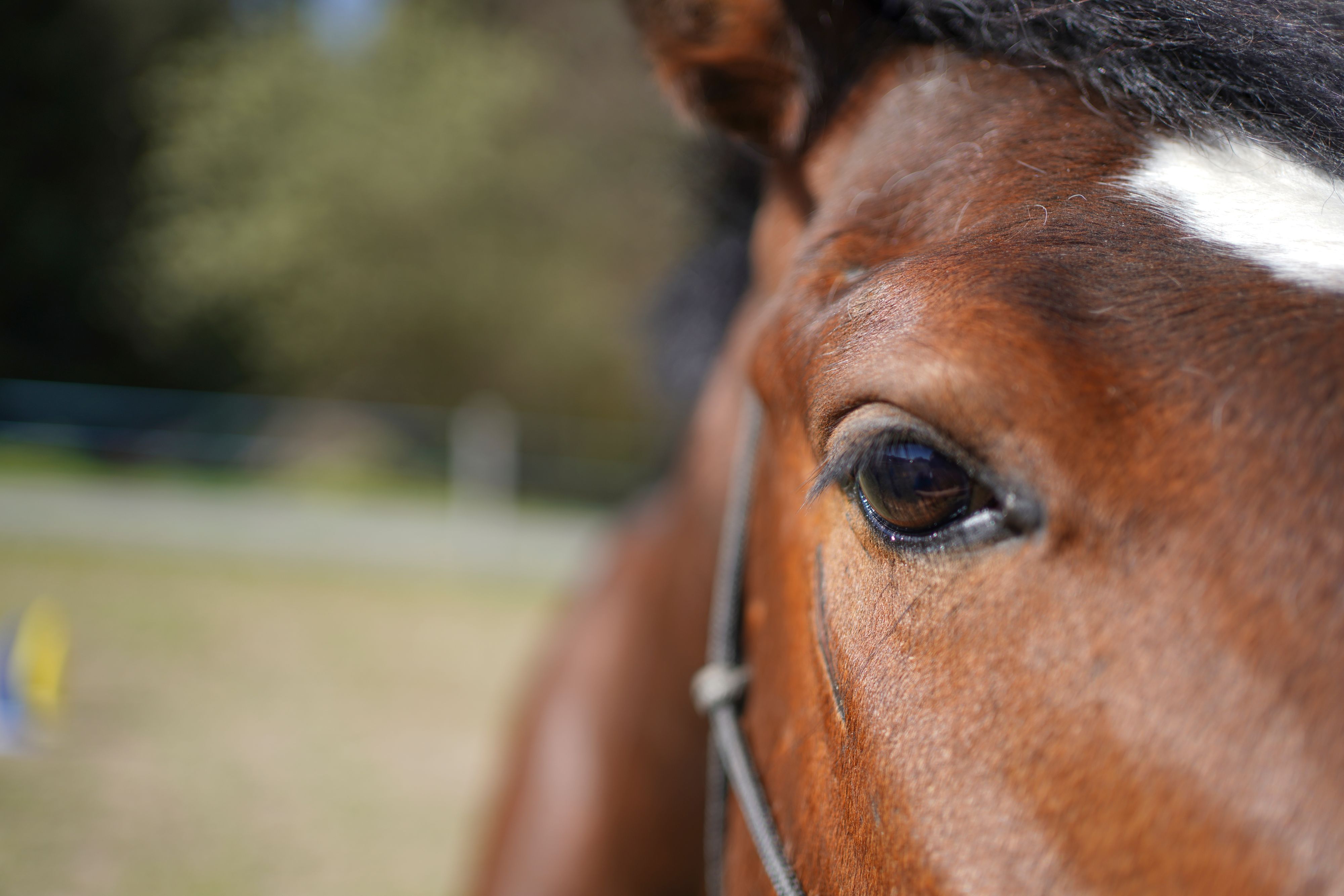 Dieses Video sorgt im Netz gerade für eine hitzige Diskussion.