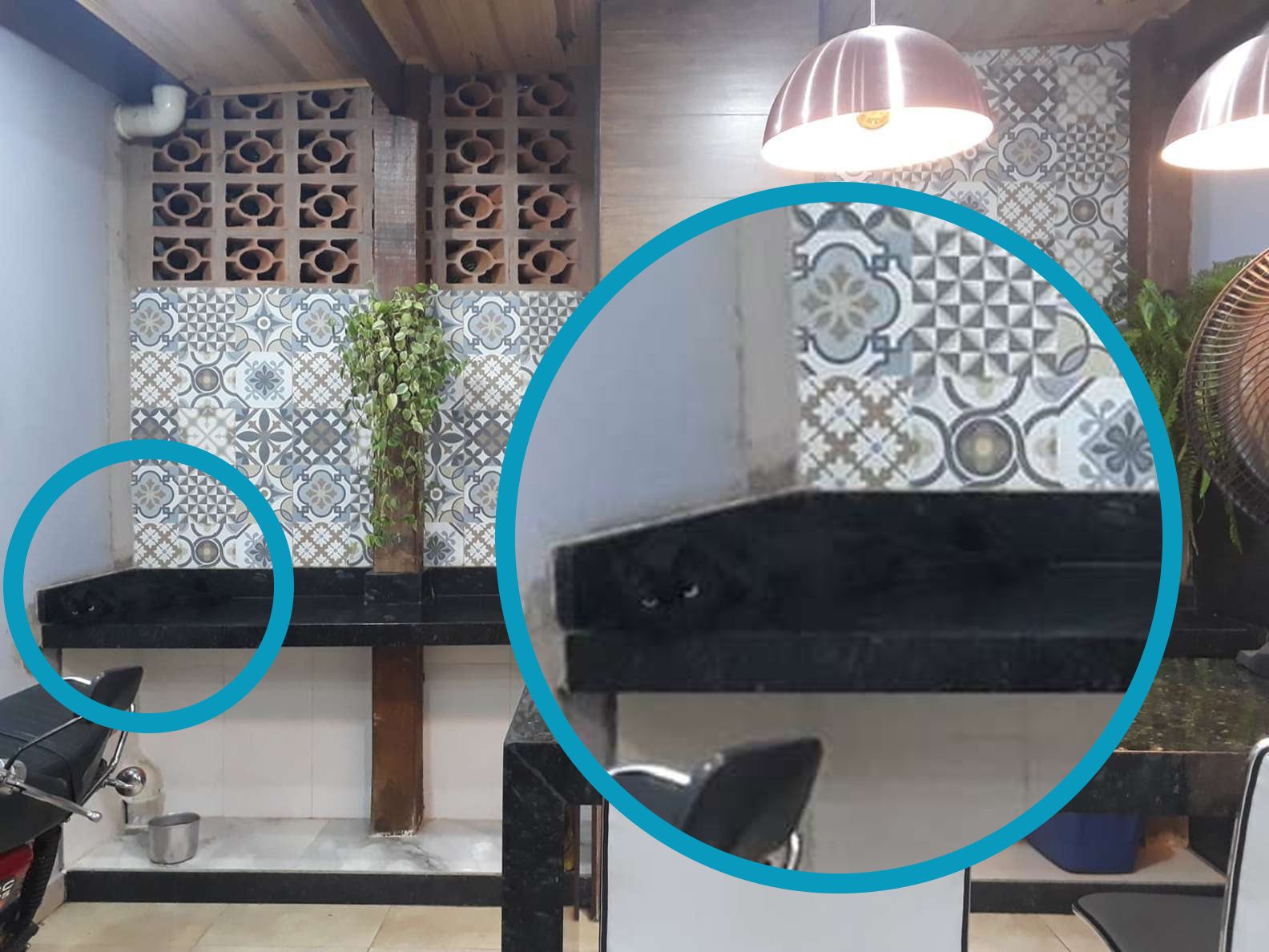 Hast du sie vorher entdeckt?&nbsp;