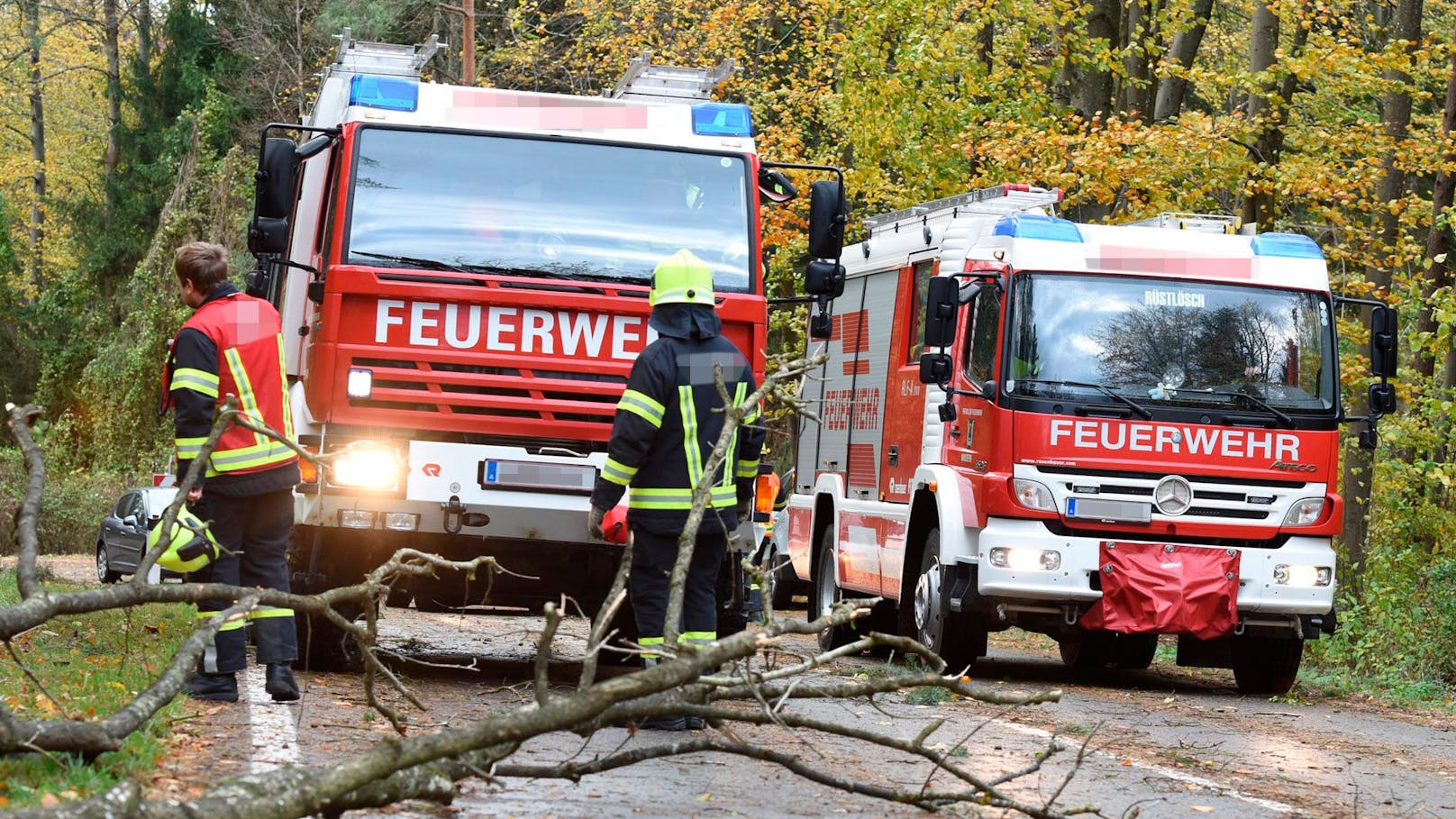 200-km/h-Sturm! Mann in Tirol von Baum getroffen – tot