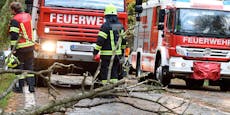 Sturm-Peitsche trifft Wien & NÖ – jetzt gilt Warnstufe Rot