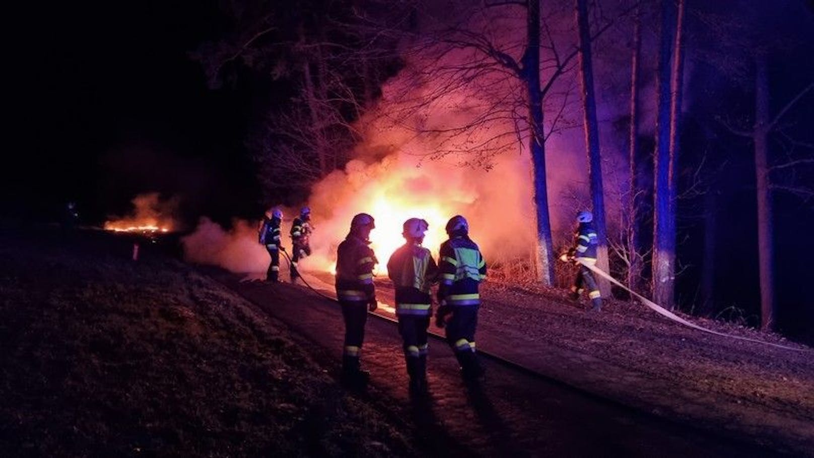 Bei einem Fahrzeugbrand fing auch ein angrenzender Wald Feuer. 