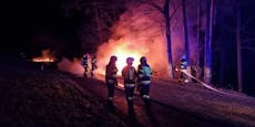 Fahrzeugbrand setzte angrenzenden Wald in Flammen