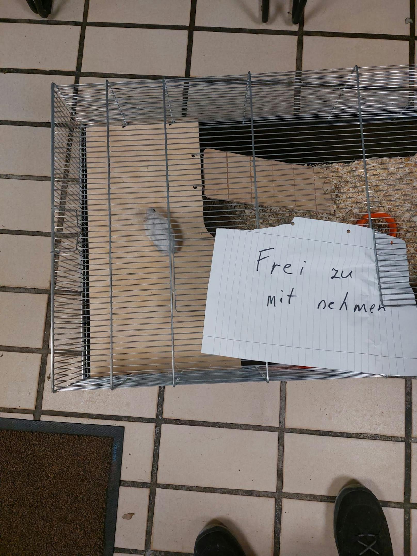 Mittlerweile ist der Hamster im Tierheim Linz