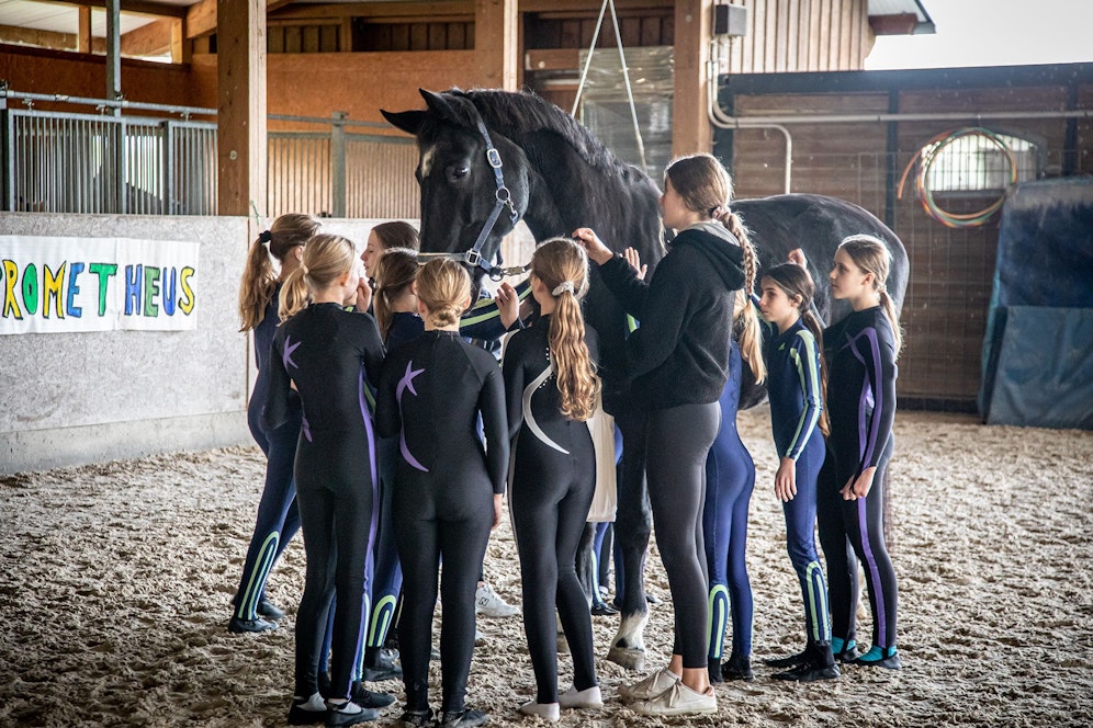 Die zwei Voltigierpferde dürfen ihren Lebensabend nun auf Gut Aiderbichl verbringen.