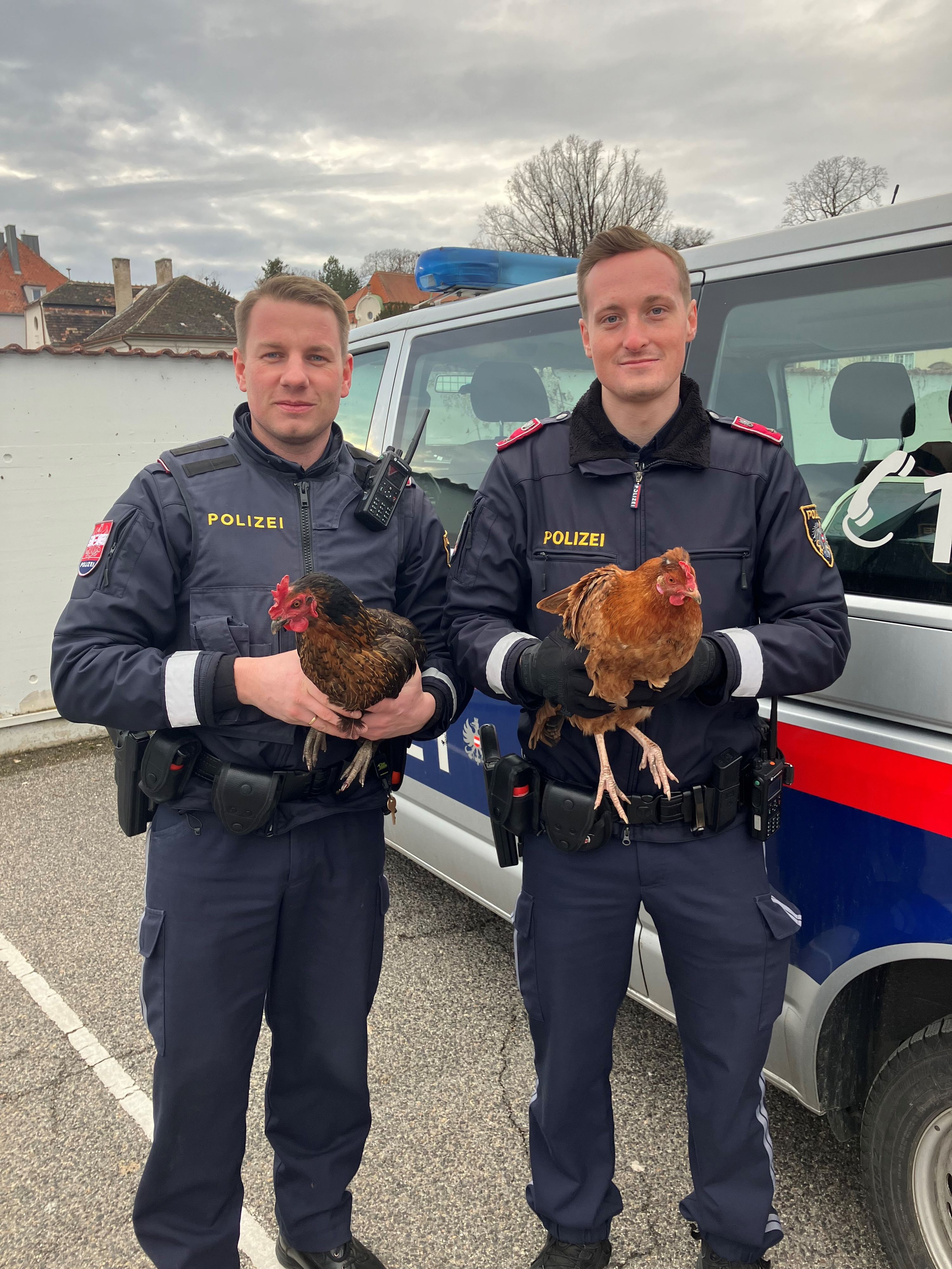 Polizei fing die Hühner ein.