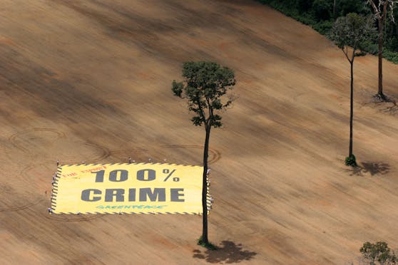 Greenpeace-Aktivisten besetzen ein 1.645 Hektar großes Amazonasgebiet, das illegal abgeholzt wurde. Umweltschützer befürchten, dass mit dem Mercosur-Abkommen noch tiefer in den brasilianischen Regenwald vorgedrungen wird.