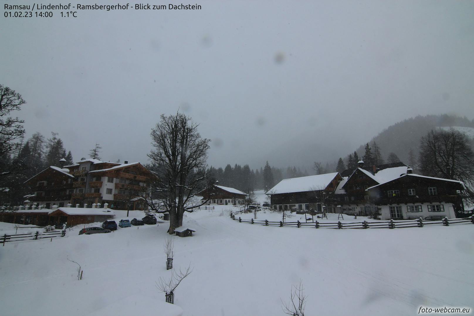 Auch in den kommenden Tagen erwartet Österreich eine große Menge Neuschnee. 
