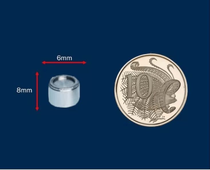Der Verlust der nur sechs mal acht Millimeter kleinen Kapsel mit dem hoch radioaktiven Cäsium 137 sei angesichts des sehr gefährlichen Materials extrem besorgniserregend, sagte Roger Cook, der stellvertretende Regierungschef des Bundesstaates Western Australia.