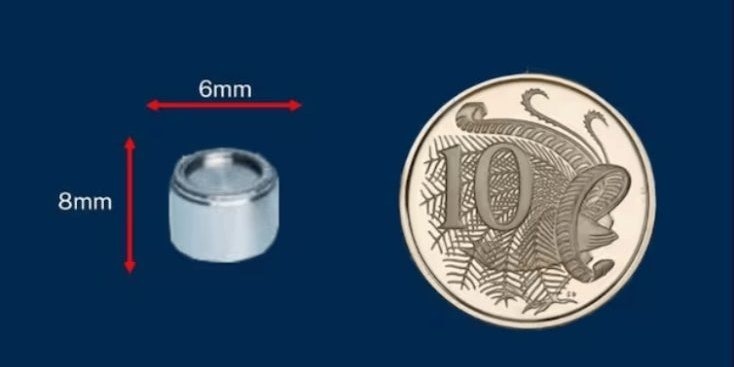 Der Verlust der nur sechs mal acht Millimeter kleinen Kapsel mit dem hoch radioaktiven Cäsium 137 sei angesichts des sehr gefährlichen Materials extrem besorgniserregend, sagte Roger Cook, der stellvertretende Regierungschef des Bundesstaates Western Australia.