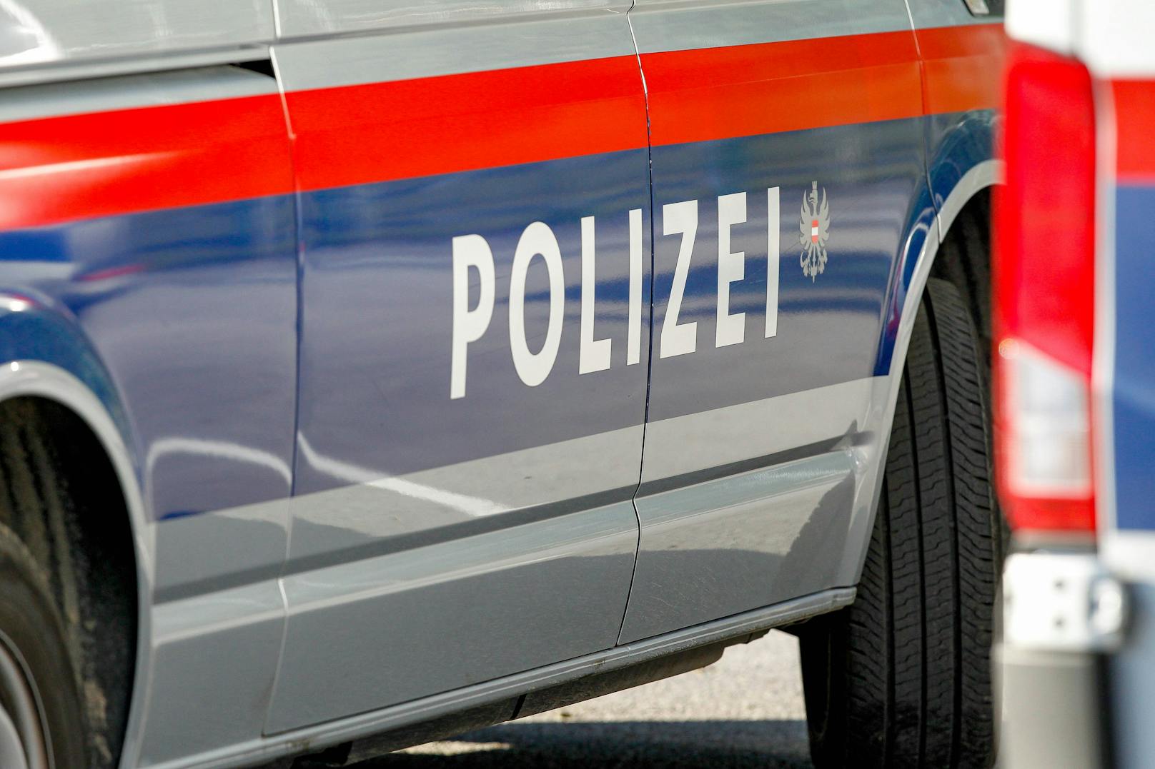 Unbekannte Täter stahlen in Salzburg zwei Autos und eine Handtasche. (Symbolbild)