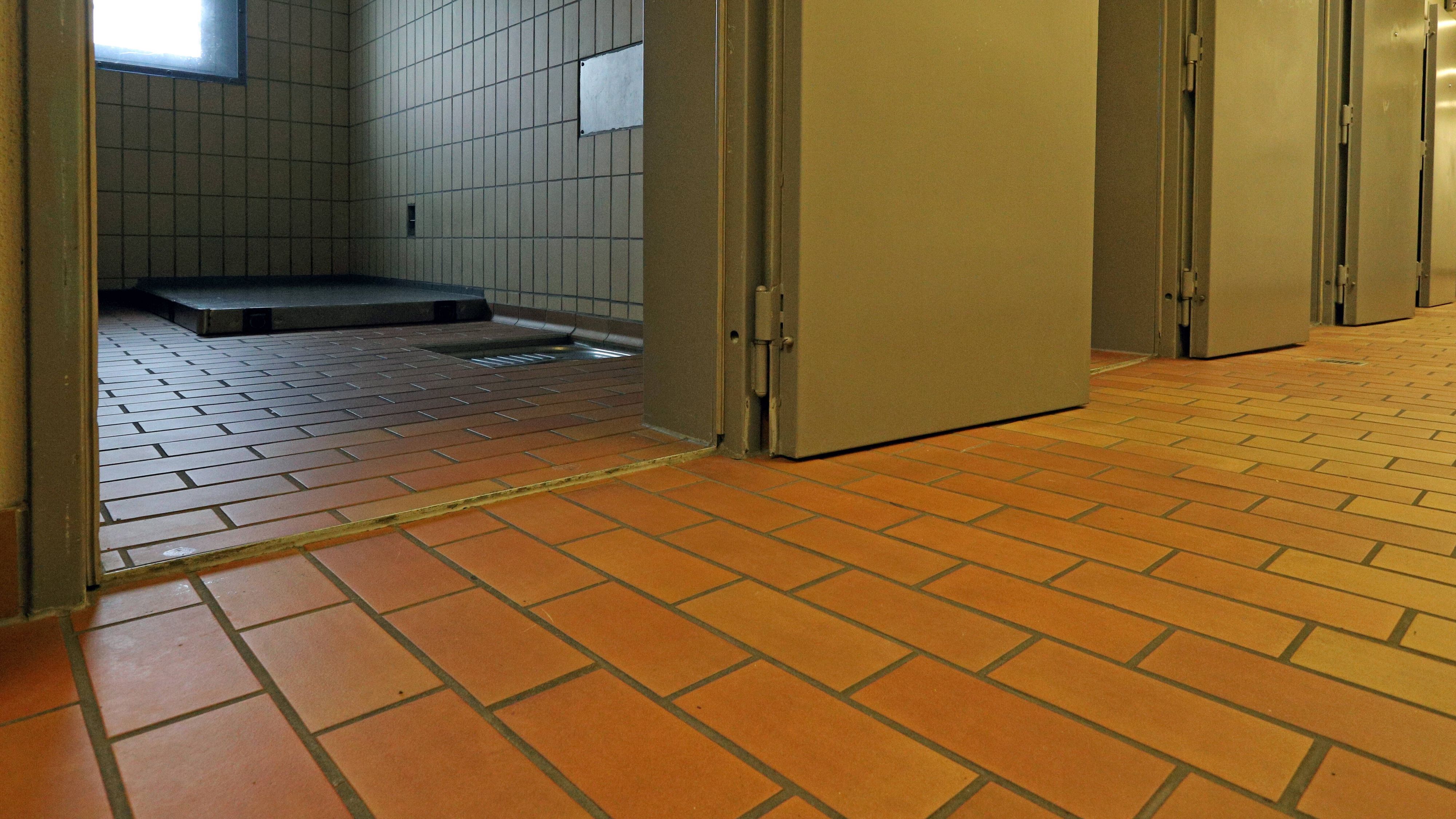  Im Tausch gegen eine Organ- oder Knochenmarksspende sollen die Häftlinge früher aus ihrer Haft entlassen werden können. 