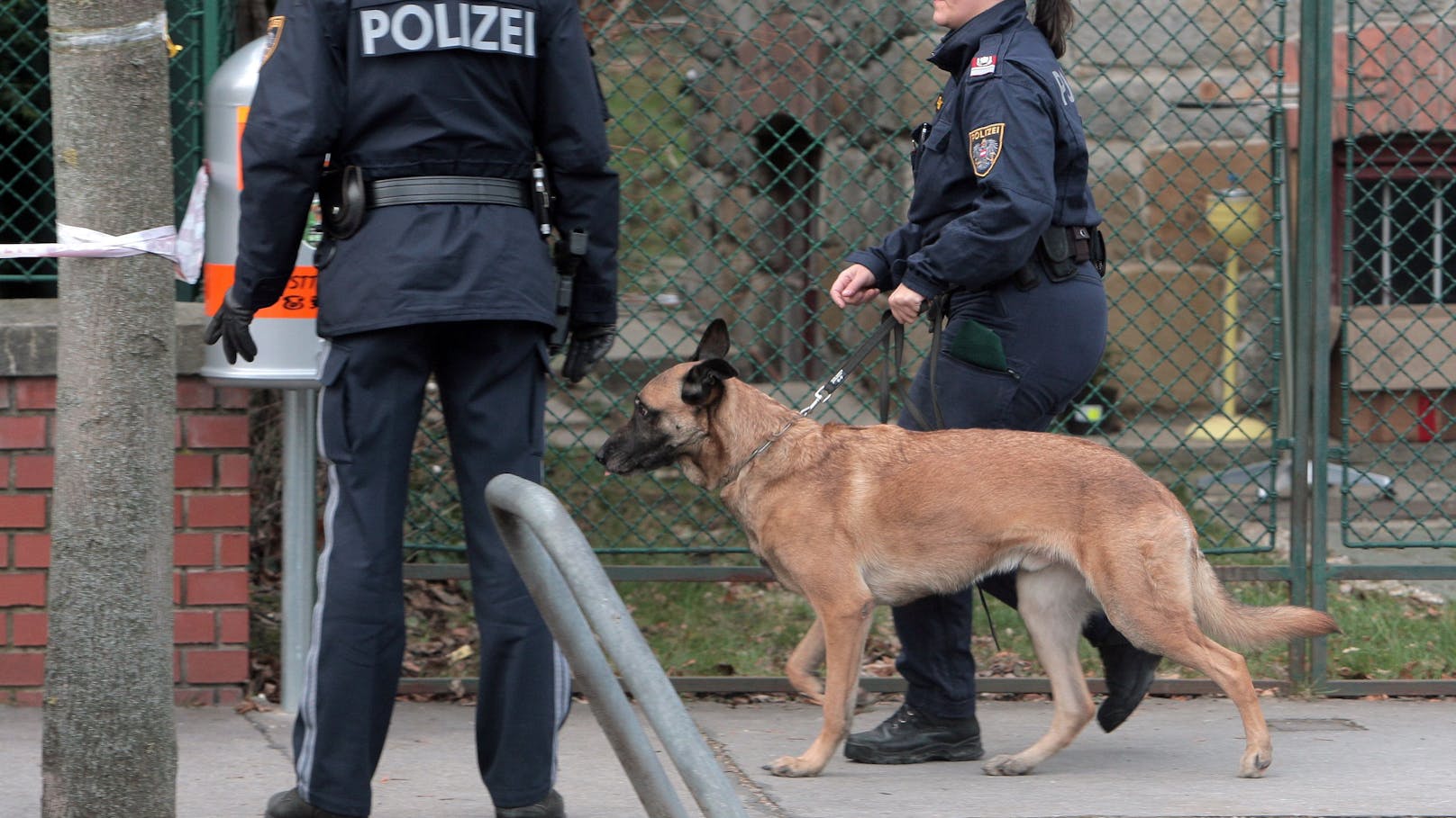 Sprengstoffhunde durchsuchten die Räumlichkeiten eines 48-Jährigen in Wien-Margareten (Symbolbild).
