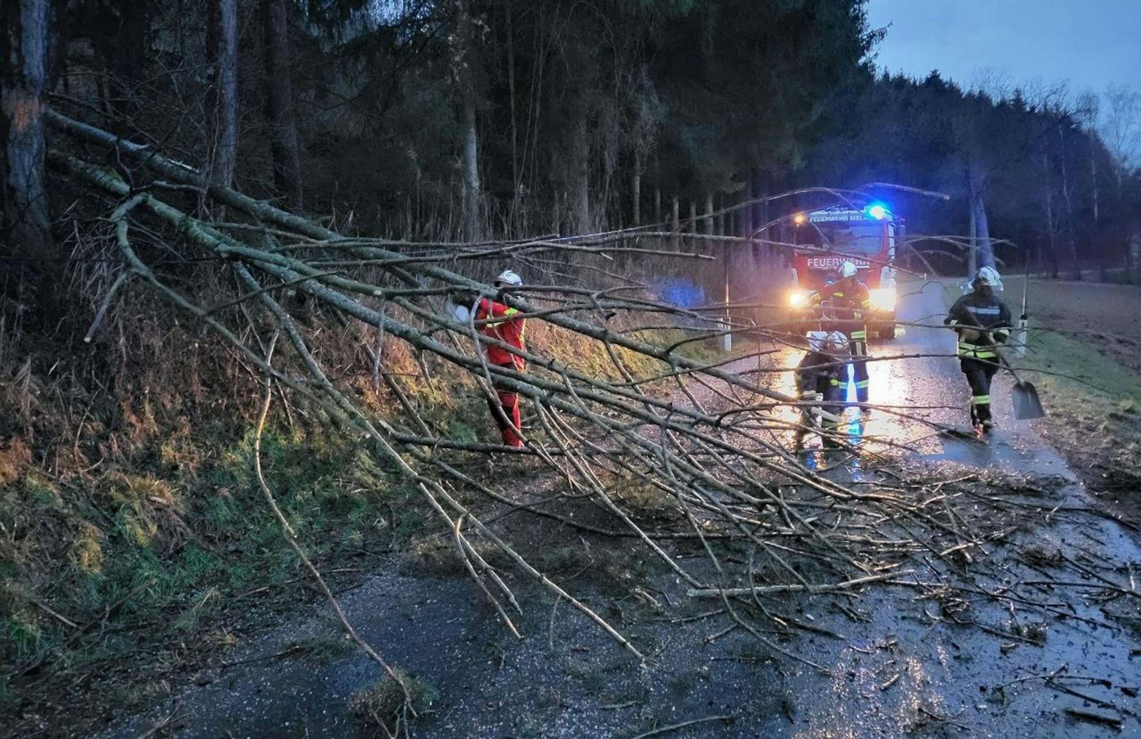 Sturm im Bezirk Melk: Baum versperrte Straße am Freitagabend