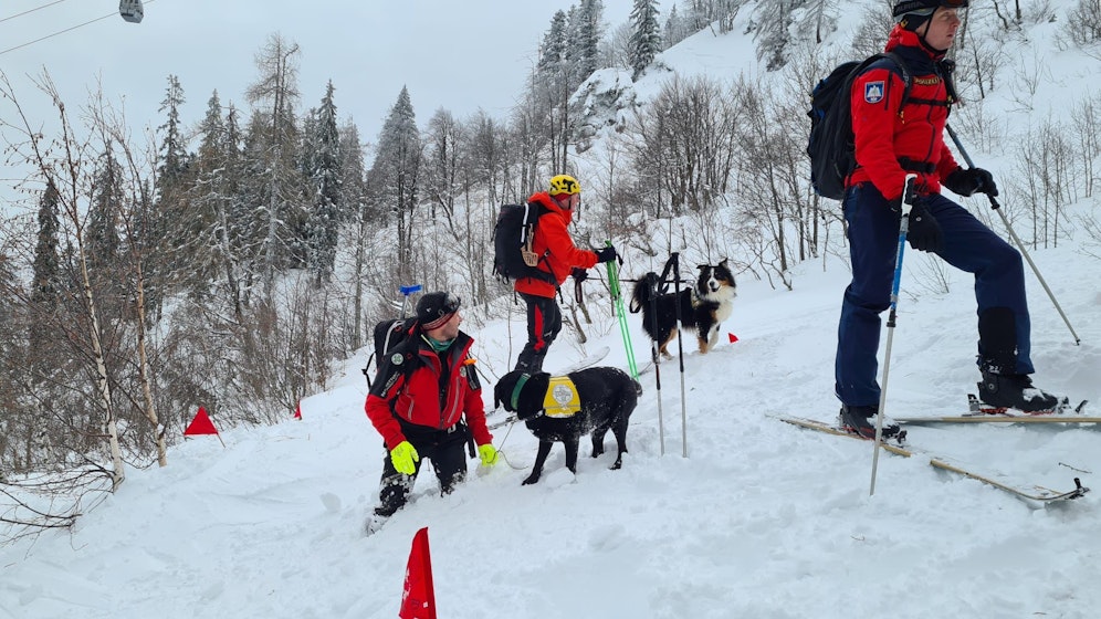 Bei der großangelegten Suchaktion nach möglichen weiteren Verschütteten kamen auch Hunde zum Einsatz.