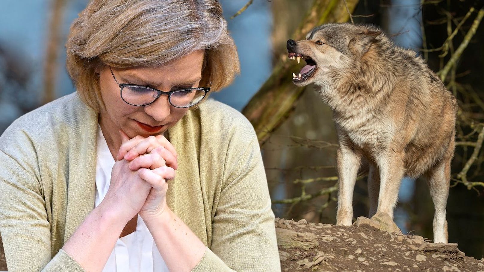 Leonore Gewessler macht sich für den Schutz des Wolfes in Österreich stark.