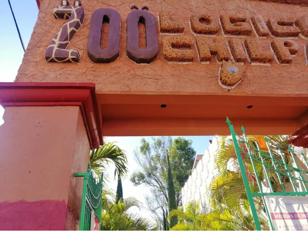 Der Direktor des Zoológico Zoochilpan, José Rubén Nava, ließ vier Zwergziegen des Zoos auf dem Zoogelände schlachten, kochen und auf der Jahresabschlussfeier als Nahrung servieren.