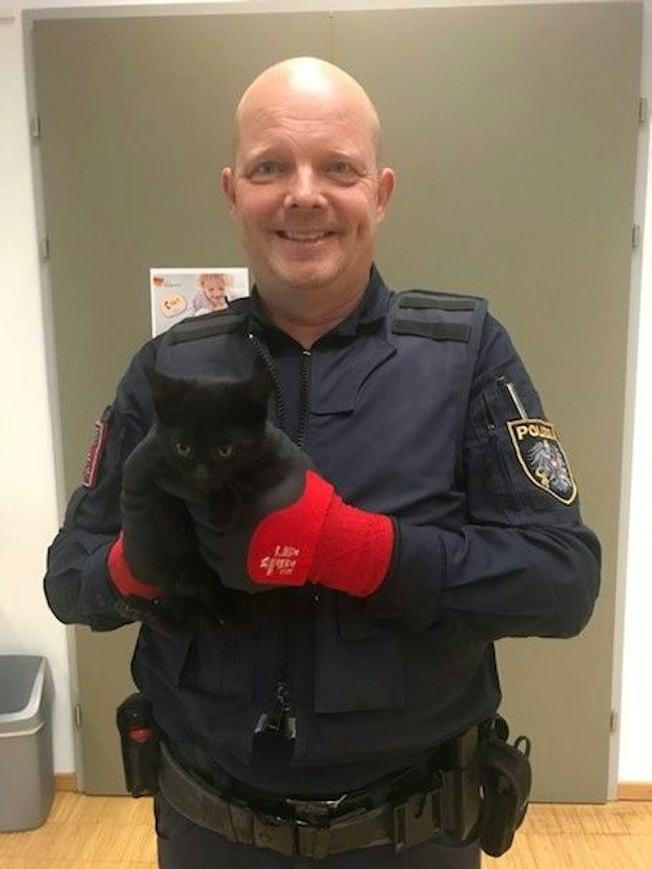 Heute.at - Polizei rettet herrenlose Babykatze auf Schnellstraße