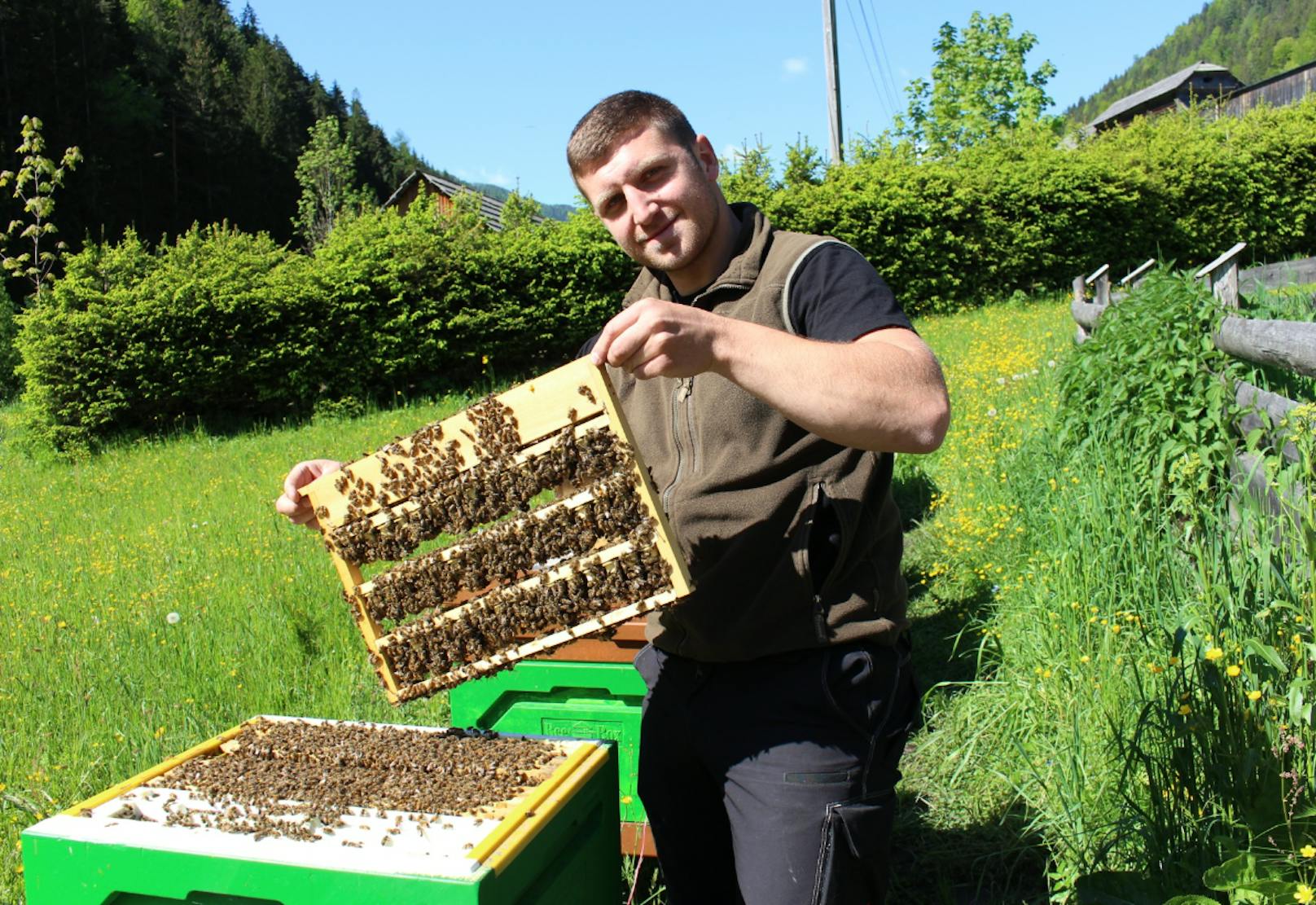 Sandro Huter mit seinen geliebten Honigbienen.